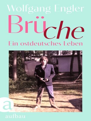 cover image of Brüche